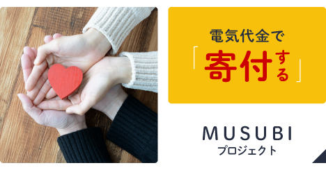 MUSUBIプロジェクト